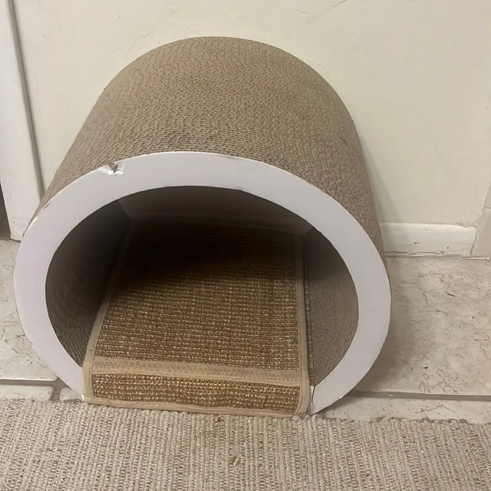Cat scratching home